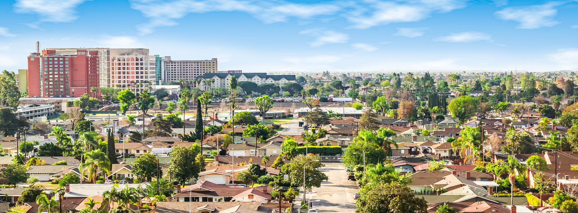 Anaheim skyline overview