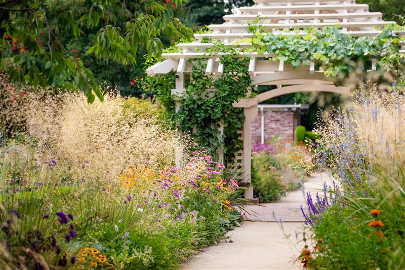 Rose Court Garden in Anaheim, CA